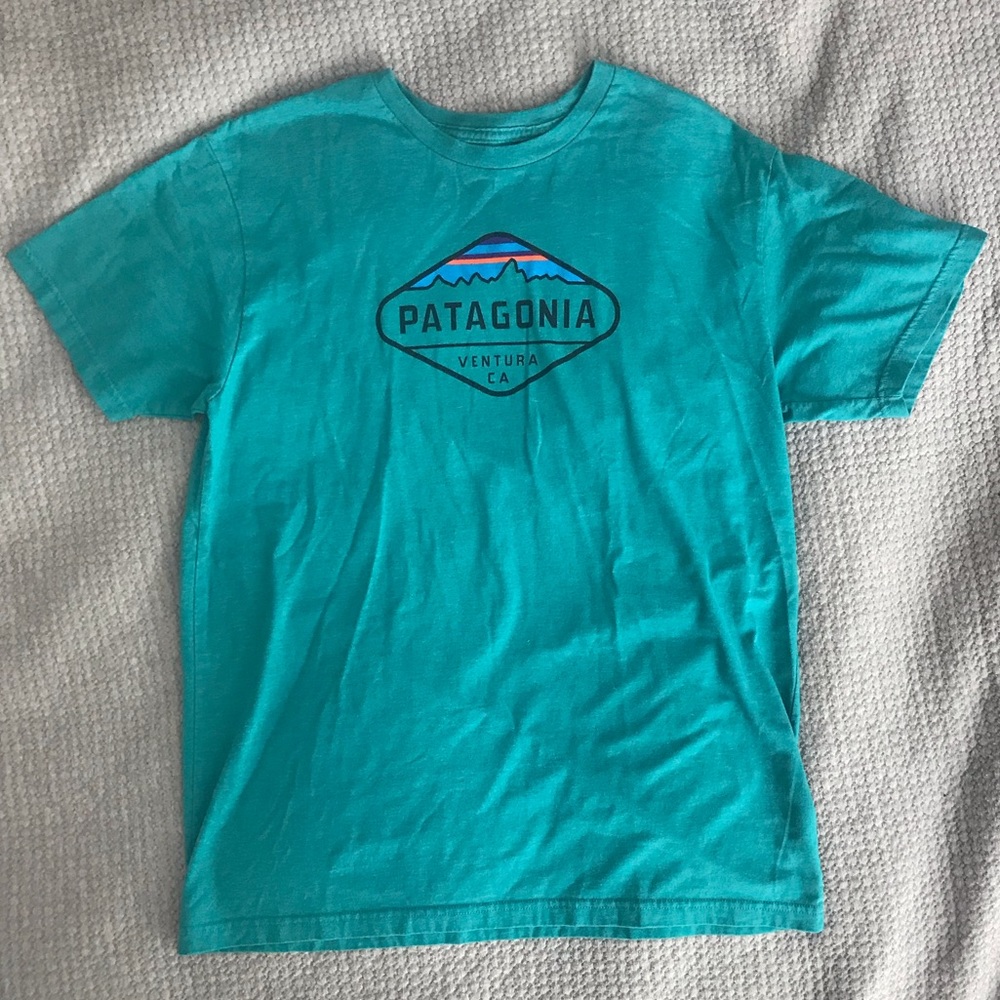 Turquoise Patagonia T-shirt